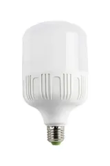 CT-4330 25W TORCH AMPUL BEYAZ 6500K