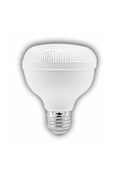 CT-4125 25W KRİSTAL TORCH AMPUL BEYAZ 6500K