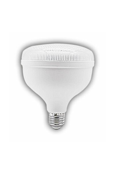 CT-4145 45W TORCH AMPUL BEYAZ 6500K