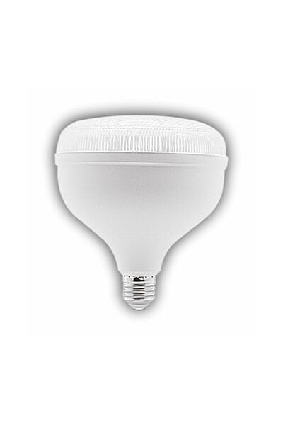 CT-4165 65W TORCH AMPUL BEYAZ 6500K