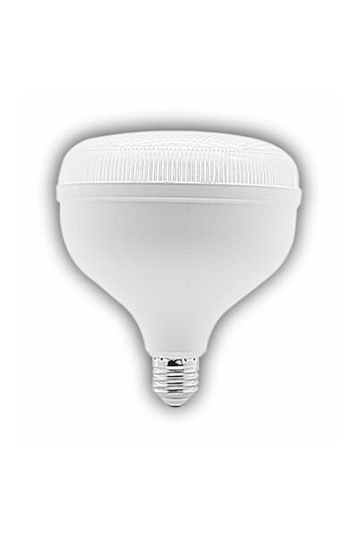 CT-4165 65 W TORCH AMPUL BEYAZ 6500K