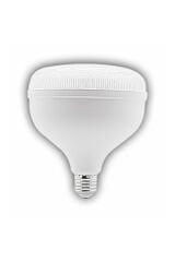 CT-4165 65 W TORCH AMPUL BEYAZ 6500K