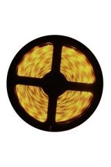 CT-4481 İÇ MEKAN ŞERİT LED 12W GÜNIŞIĞI 5 METRE