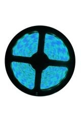 CT-4484 İÇ MEKAN ŞERİT LED 12W MAVİ 5 METRE