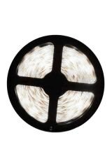 CT-4487 DIŞ MEKAN ŞERİT LED 12V BEYAZ 5 METRE