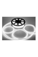CT-4554 220V NEON LED