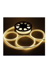CT-4554 220V NEON LED
