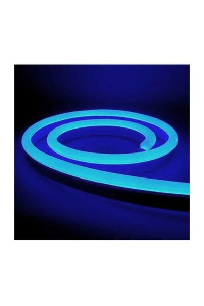 CT-4554 220V NEON LED