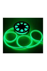 CT-4554 220V NEON LED